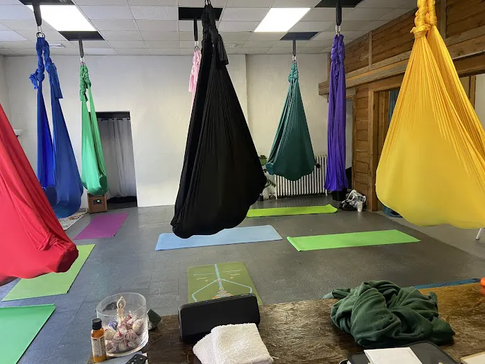 Elevate Yoga Studio Picture 4