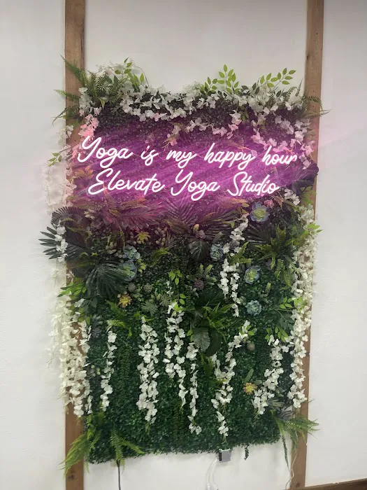 Elevate Yoga Studio Picture 5