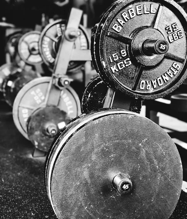 Operation Iron Gym Picture 9