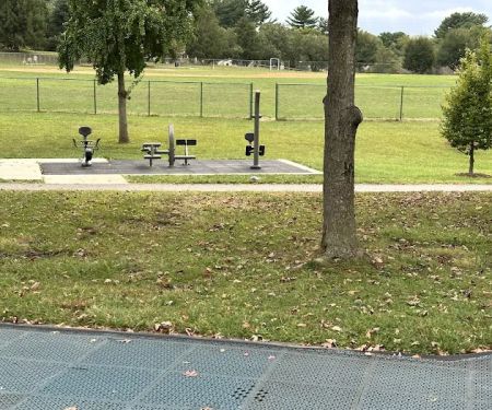 Outdoor Exercise Station