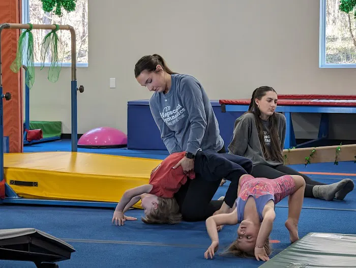 Hopscotch Gymnastics Picture 1