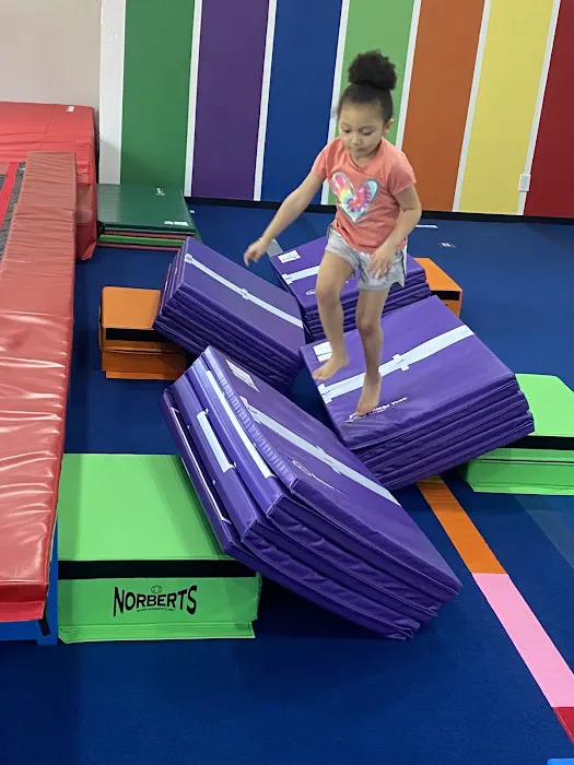 Hopscotch Gymnastics Picture 7