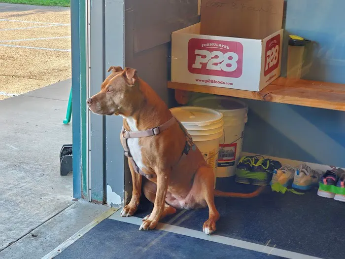 Challenge Fitness Picture 4