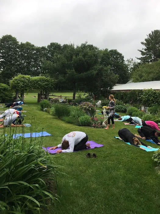 Charlevoix Yoga Picture 4