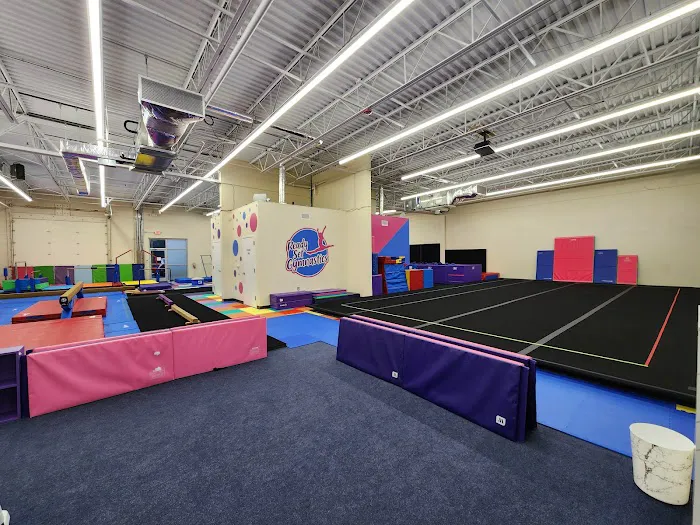 Ready Set Gymnastics Picture 1