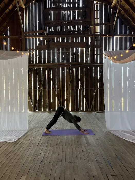 Thriving Radiance Yoga Picture 1