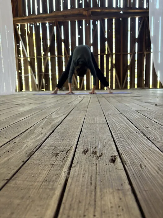 Thriving Radiance Yoga Picture 3