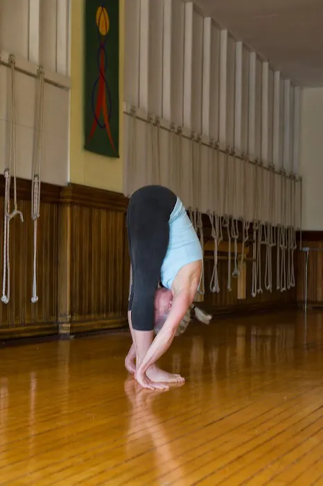 North Woods Yoga Picture 3