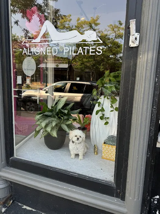 Aligned Pilates Picture 5