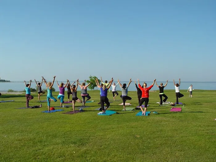 Yoga Roots and Healing Arts Picture 3