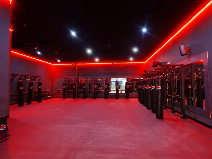 Onelife Fitness Picture 5