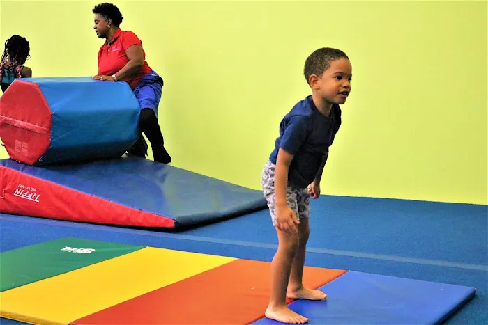 Clinton Gymnastics Academy Picture 4