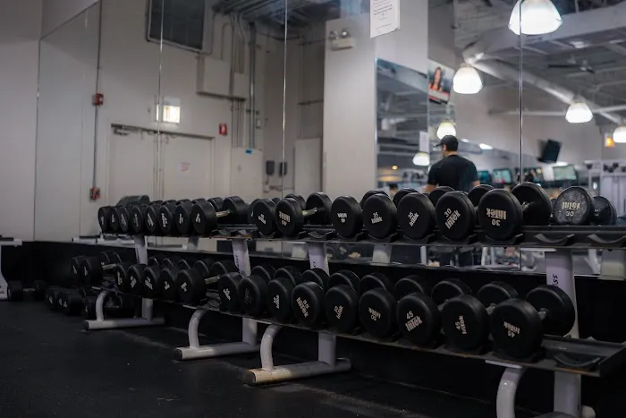 Fitness 19 Picture 8