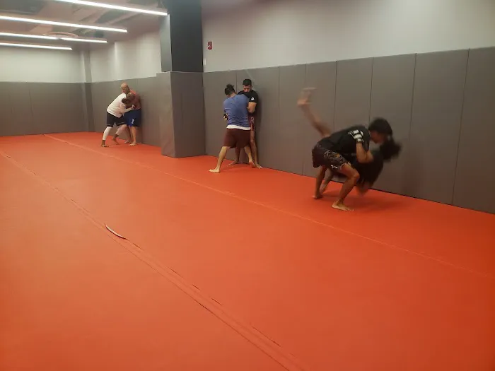 UFC GYM Wrigleyville Picture 10