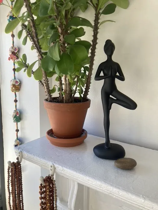 Namaskar Yoga Studio Picture 7