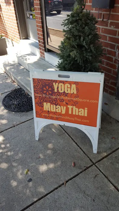 Bliss Yoga Studio Picture 2