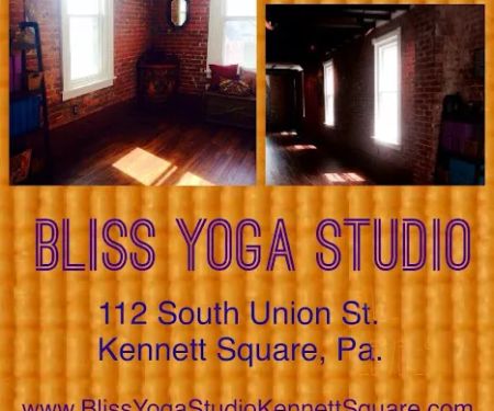 Bliss Yoga Studio