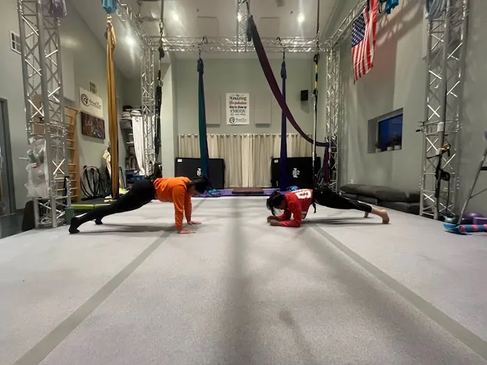 Aerial Fun & Fitness Picture 5