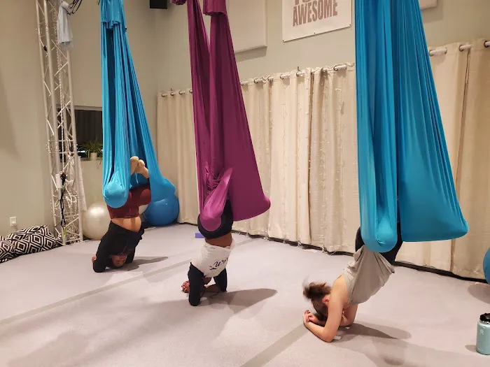Aerial Fun & Fitness Picture 6