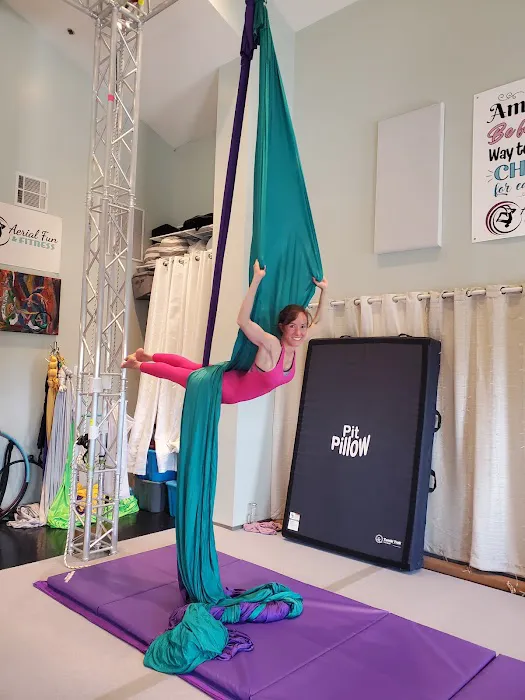 Aerial Fun & Fitness Picture 10