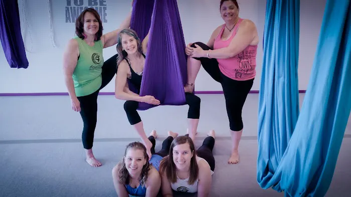 Aerial Fun & Fitness / Zina's Organics & Wellness Picture 1