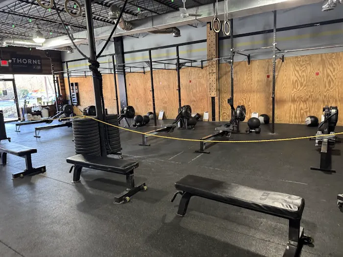 Crossfit Reconstructed Picture 5