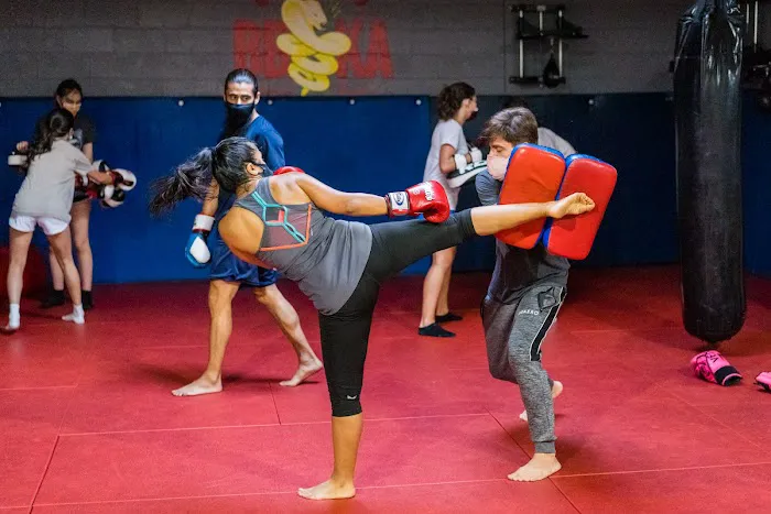 Bethesda Boxing & Kickboxing Academy Picture 3