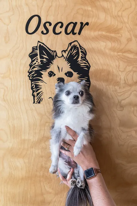 Up Dog Yoga Community Picture 1