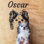Up Dog Yoga Community