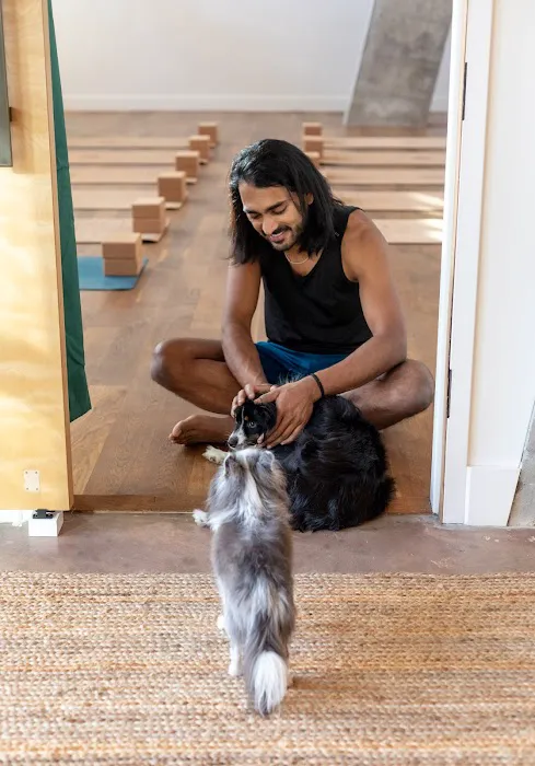 Up Dog Yoga Community Picture 9