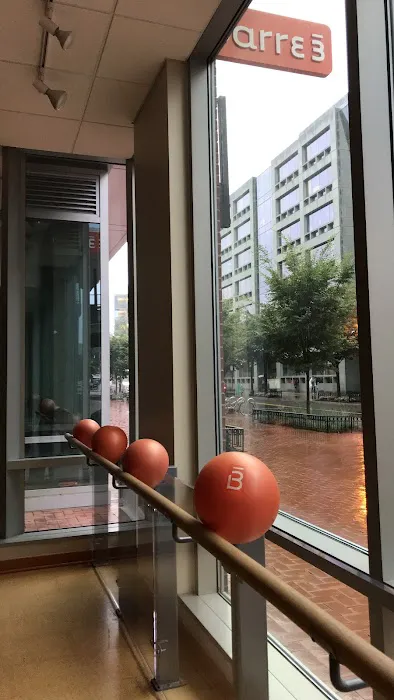 barre3 Picture 7