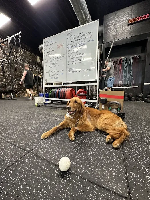 CrossFit DC Picture 8