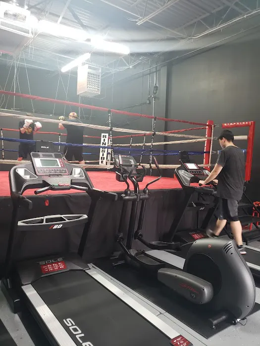 Ashburn Boxing Academy Picture 2