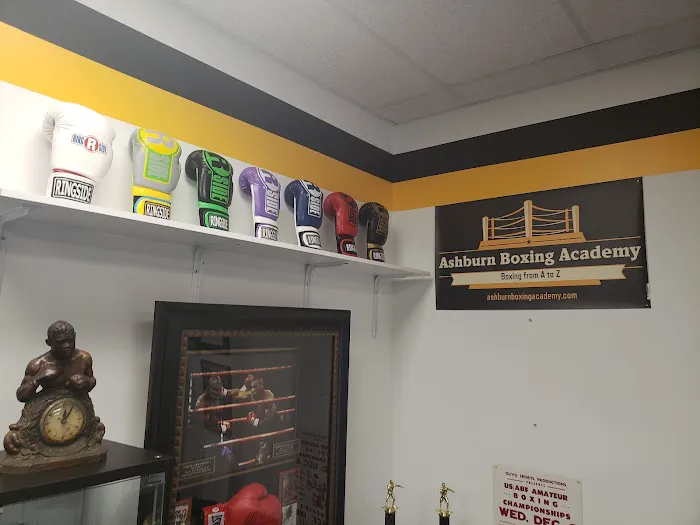 Ashburn Boxing Academy Picture 4