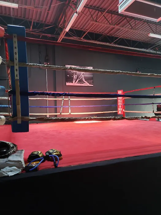 Ashburn Boxing Academy Picture 5