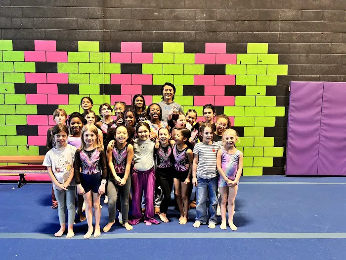 LoCo Gymnastics Club Ashburn /NVGA Gymnastics Picture 5