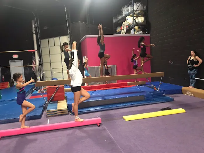 LoCo Gymnastics Club Ashburn /NVGA Gymnastics Picture 6