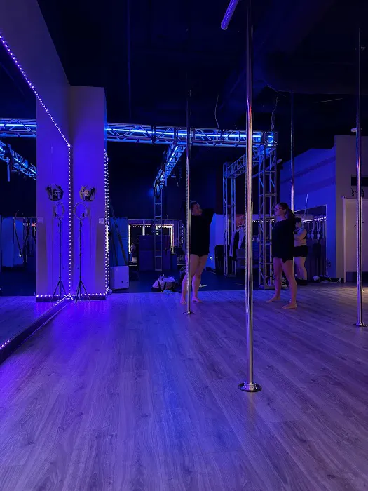 Pulse Pole & Aerial Picture 4