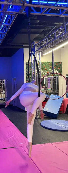 Pulse Pole & Aerial Picture 1