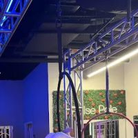 Pulse Pole & Aerial ico