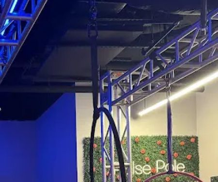 Pulse Pole & Aerial