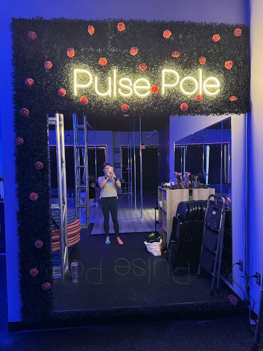 Pulse Pole & Aerial Picture 8