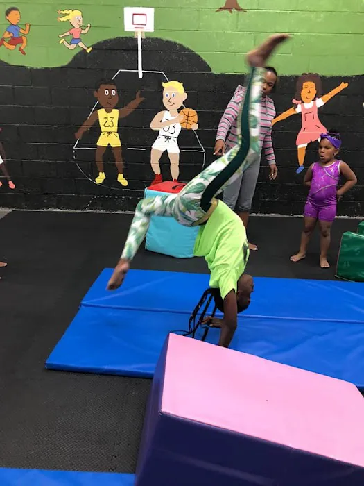 Shan's Jumping Gymnasium Picture 6