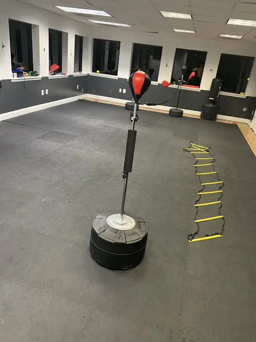 Shan's Jumping Gymnasium Picture 4
