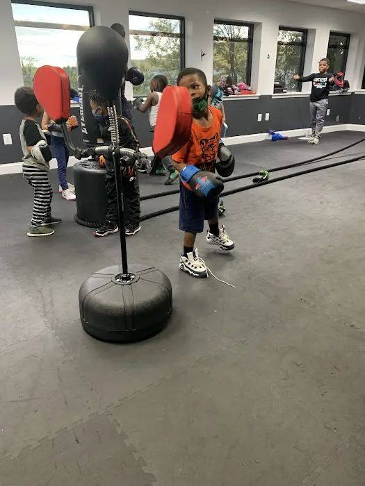 Shan's Jumping Gymnasium Picture 7