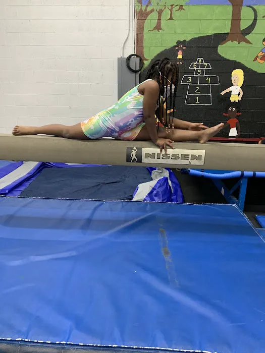 Shan's Jumping Gymnasium Picture 1