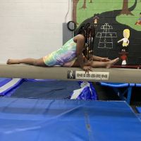 Shan's Jumping Gymnasium ico