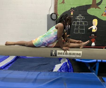 Shan's Jumping Gymnasium