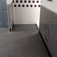 Planet Fitness ico
