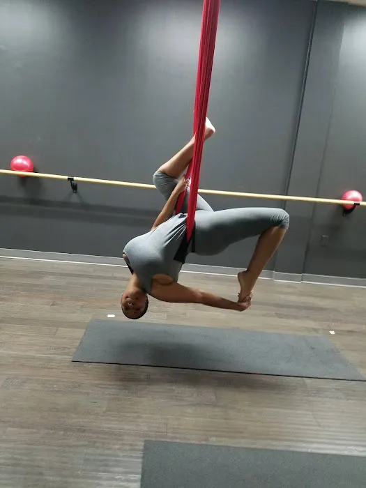 2D FIT aka 2D POLE FIT Picture 5